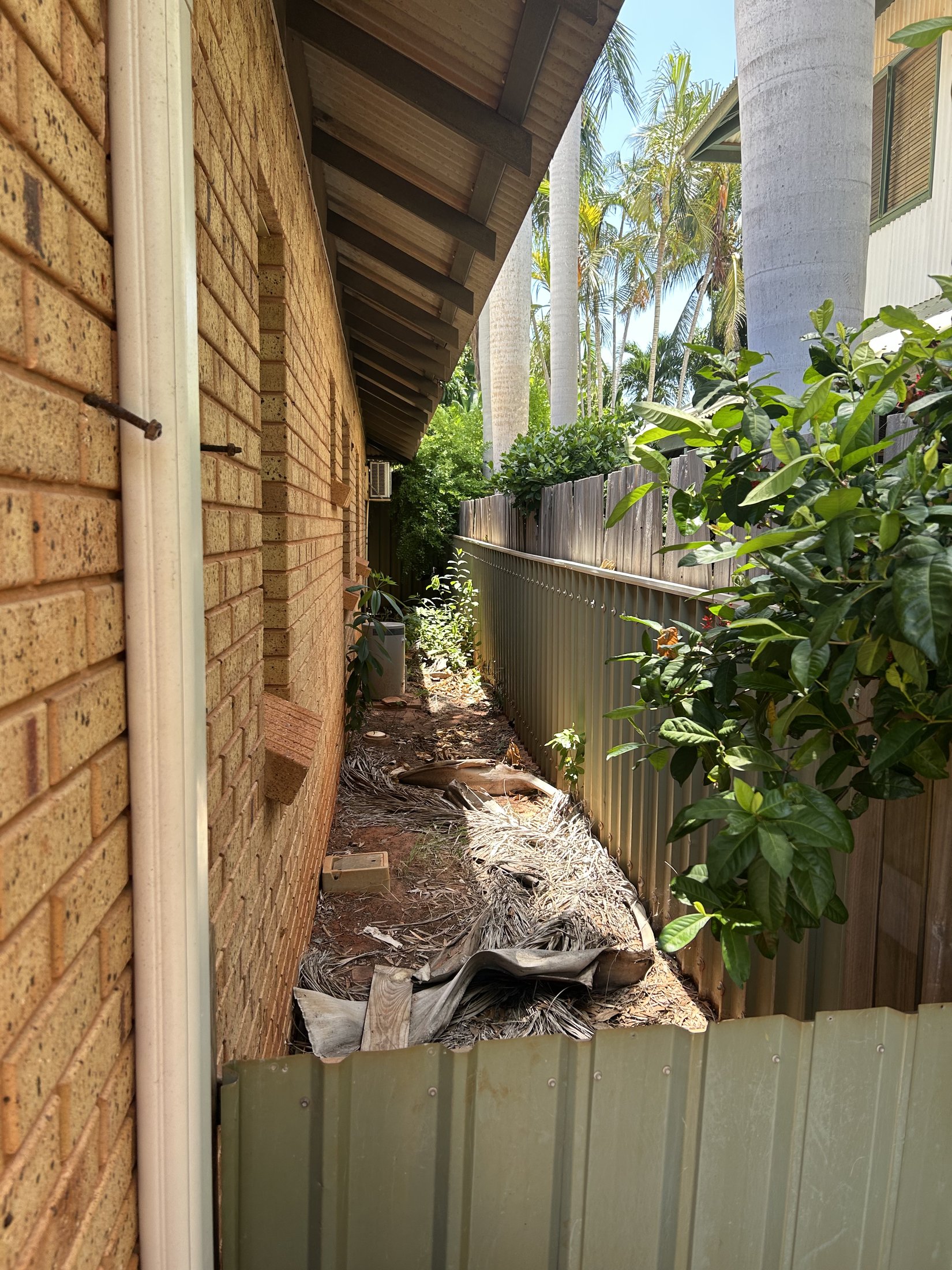 Side access run cleared of palm fronds and debris