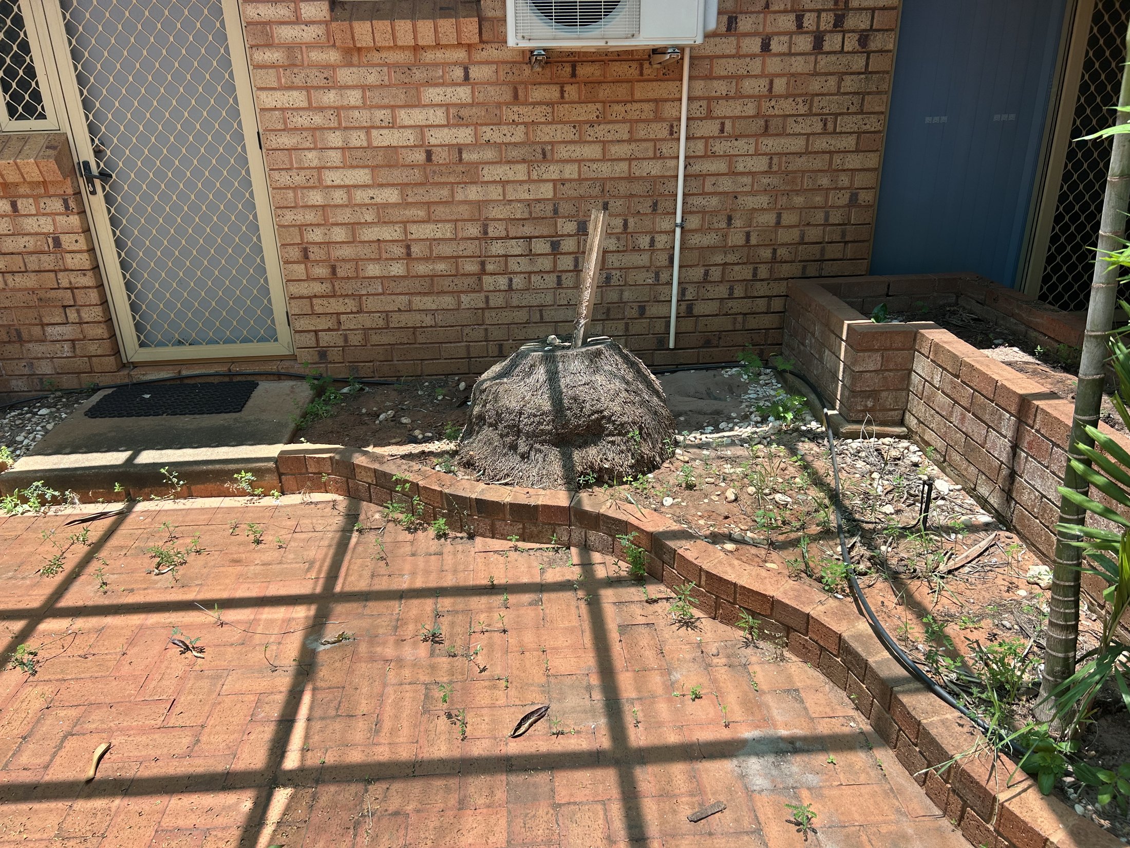 Brick paved courtyard with weeds removed from joints